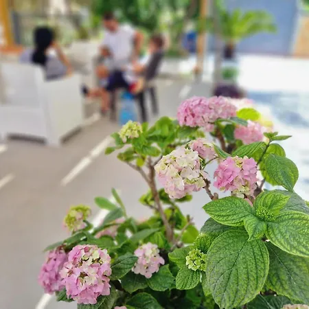 The Perfect One Bedroom Apartment Sarandë